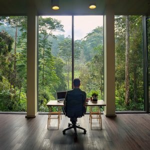 Person working with forest view